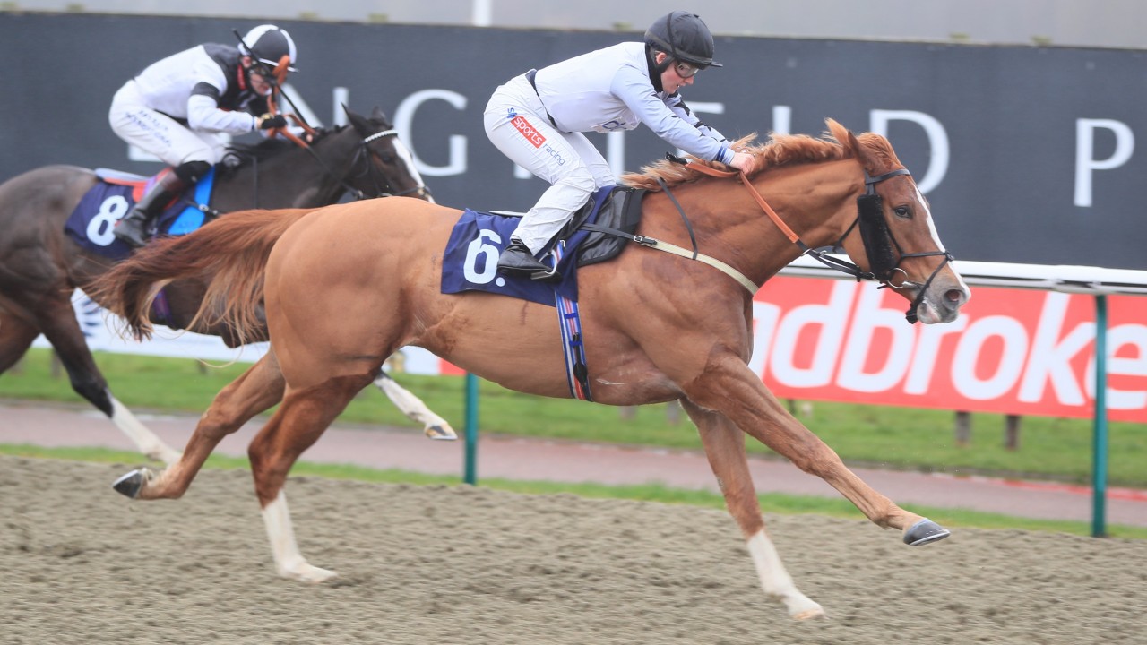 Hollie Doyle ends busy week with double after competing in ...