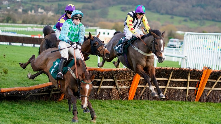Haafapiece (near): fell at the last hurdle at Cheltenham in December when in front