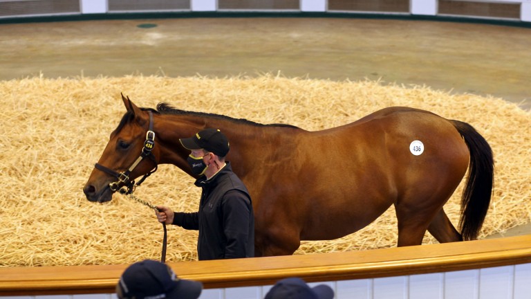 The Galileo filly out of Shastye brings 3,400,000gns from MV Magnier
