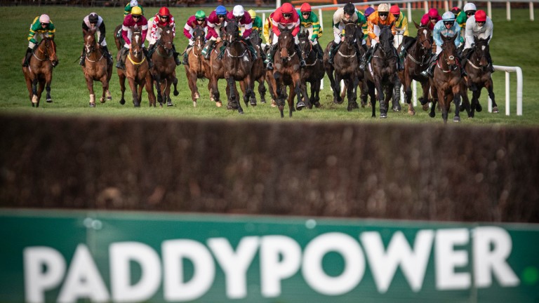 Roaring Bull (blue cap): flew home to land last year's Paddy Power Chase
