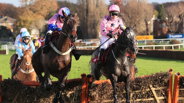Elham Valley (right): has the best form on offer in the Finale