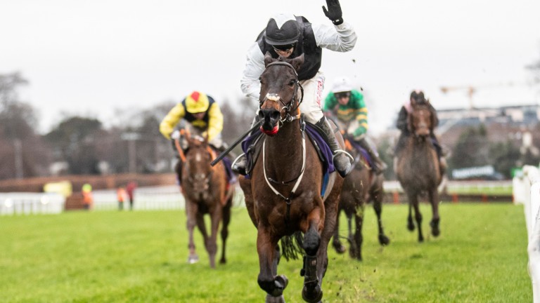 Flooring Porter earned a Racing Post Rating of 164 at Leopardstown over Christmas