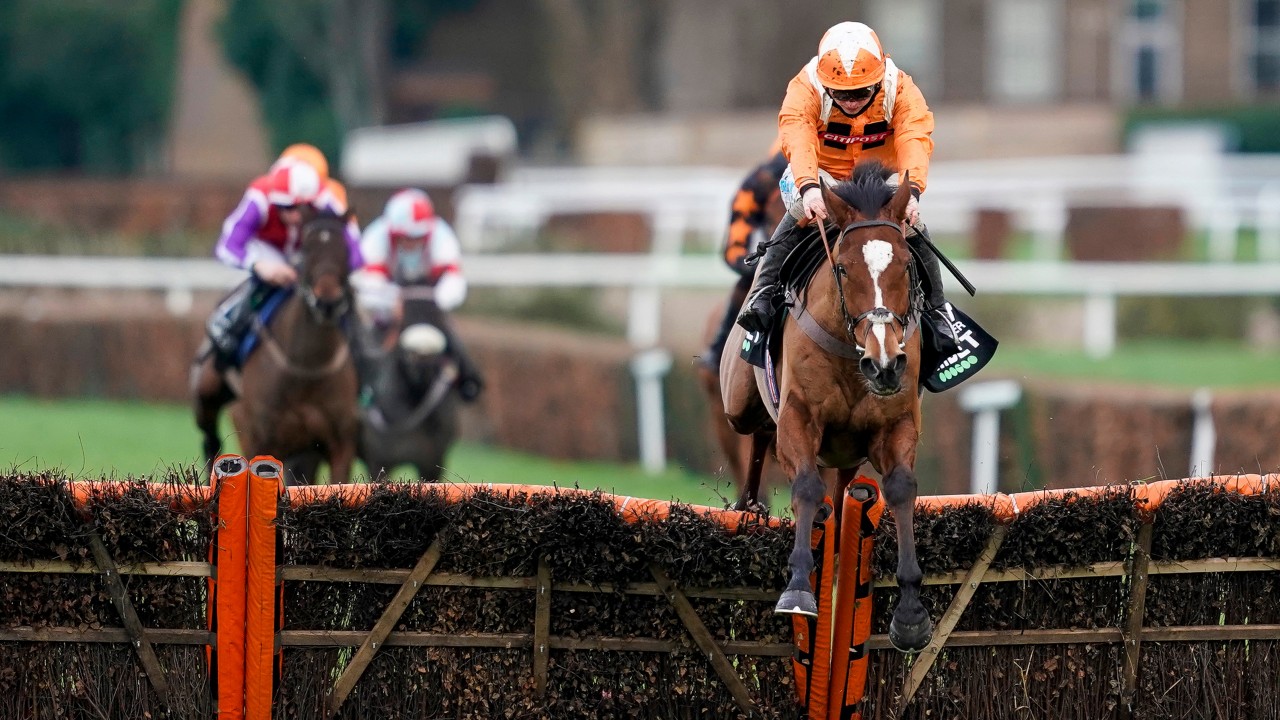 Tolworth hurdle betting advice michaels szafranski forex converter