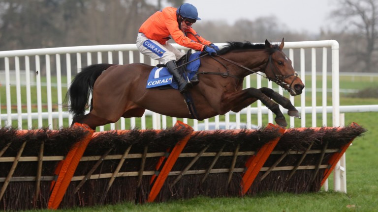 Adagio: won the Grade 1 Coral Finale Juvenile Hurdle at Chepstow on his last start