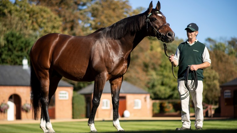 Frankel is now standing at his largest ever fee