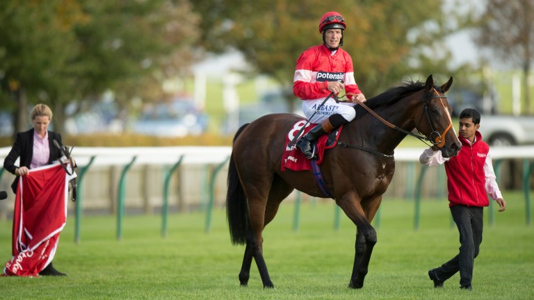 Tiggy Wiggy: Cheveley Park heroine's latest offspring has been named Samuel Pepys