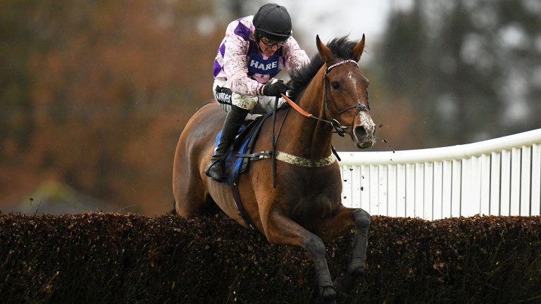 Notachance: heads the betting for the Classic Chase at Warwick on Saturday