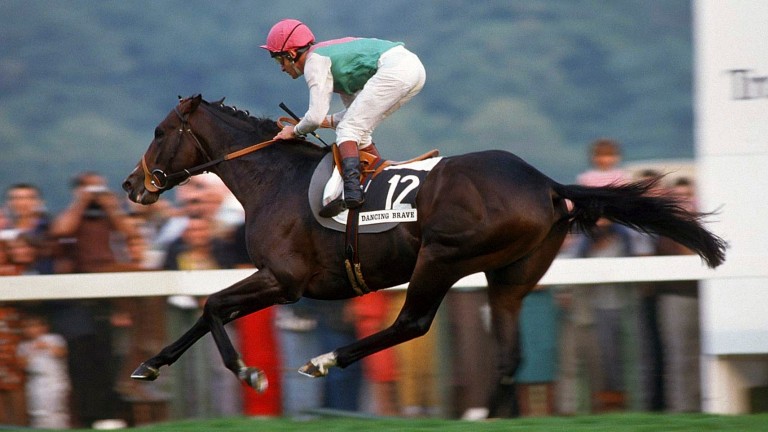 Dancing Brave: a $200,000 Fasig-Tipton yearling buy in 1984