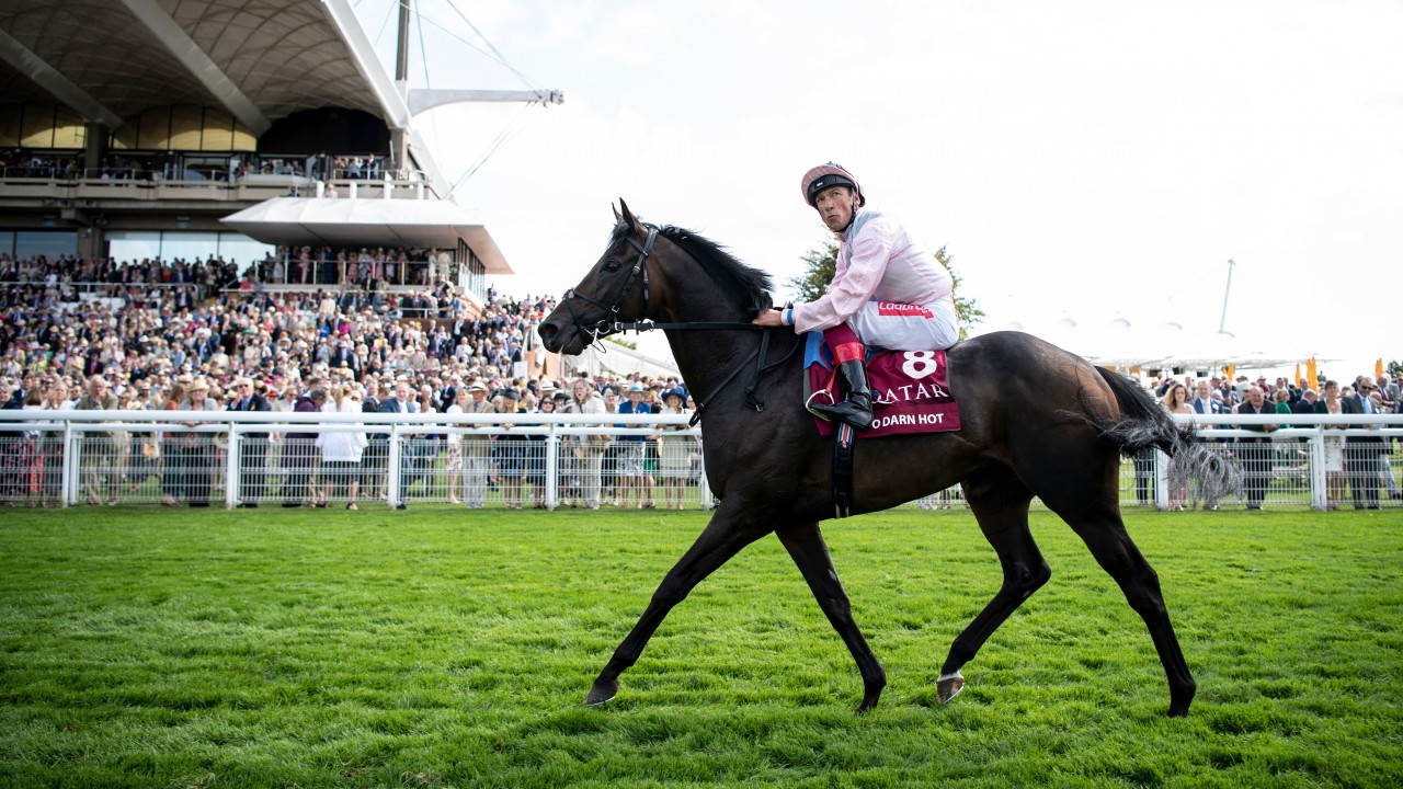 What is the salary of a horse jockey