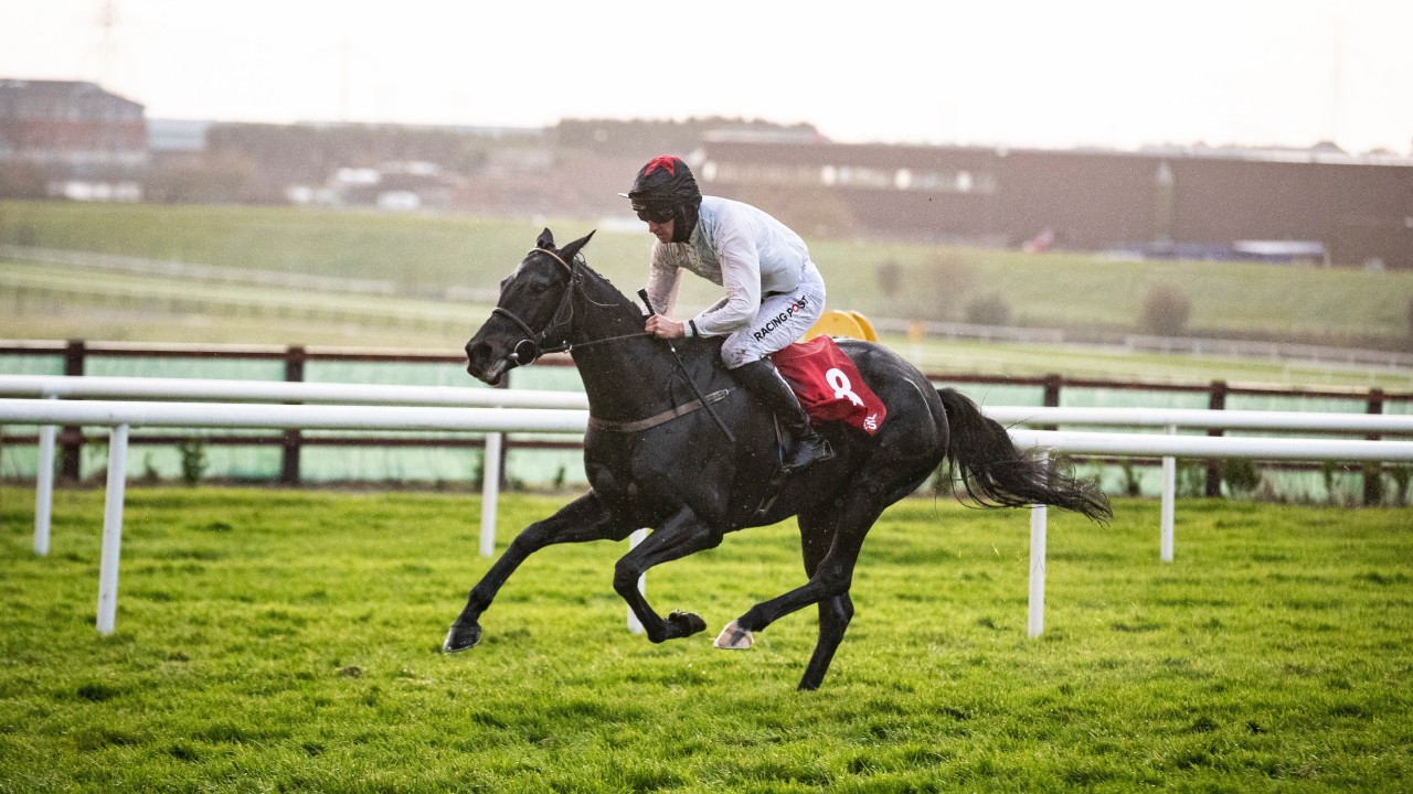 All Systems Go On Saturday As Market Rasen Passes Morning Inspection Horse Racing News Racing Post