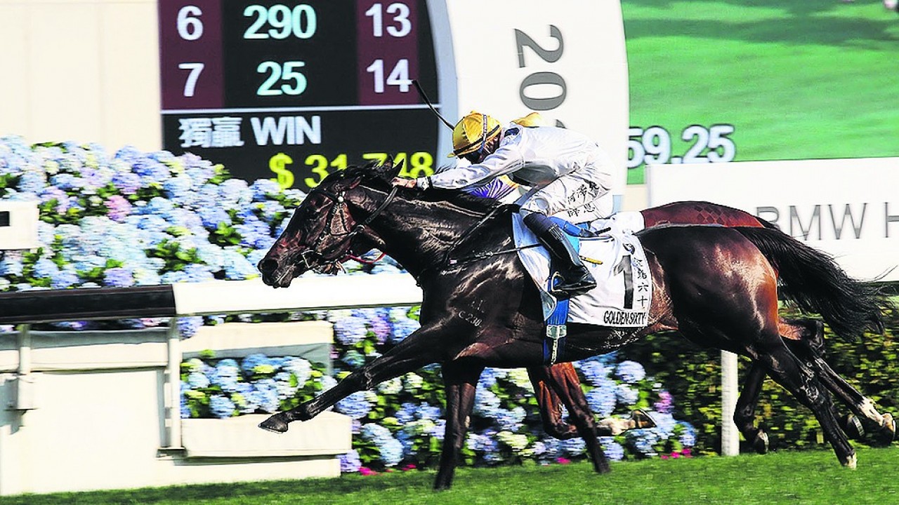 Hong Kong Racing Tips Jim Mcgrath With Three Bets On Sha Tin S Gold Cup Card Tipping News Racing Post
