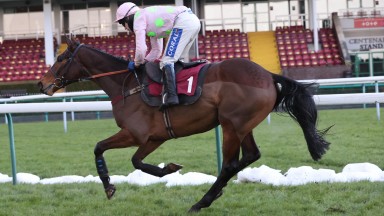 ROYALE PAGAILLE and Tom Scudamore win the Peter Marsh Chase for trainer Venetia Williams at HAYDOCK PARK 23/1/21Photograph by Grossick Racing Photography 0771 046 1723