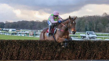 ROYALE PAGAILLE and Tom Scudamore win the Peter Marsh Chase for trainer Venetia Williams at HAYDOCK PARK 23/1/21Photograph by Grossick Racing Photography 0771 046 1723