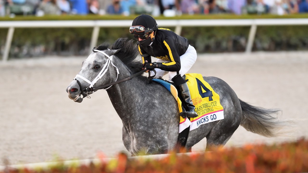'Great horses do great things' Cox praises dominant Pegasus winner Knicks Go Horse Racing