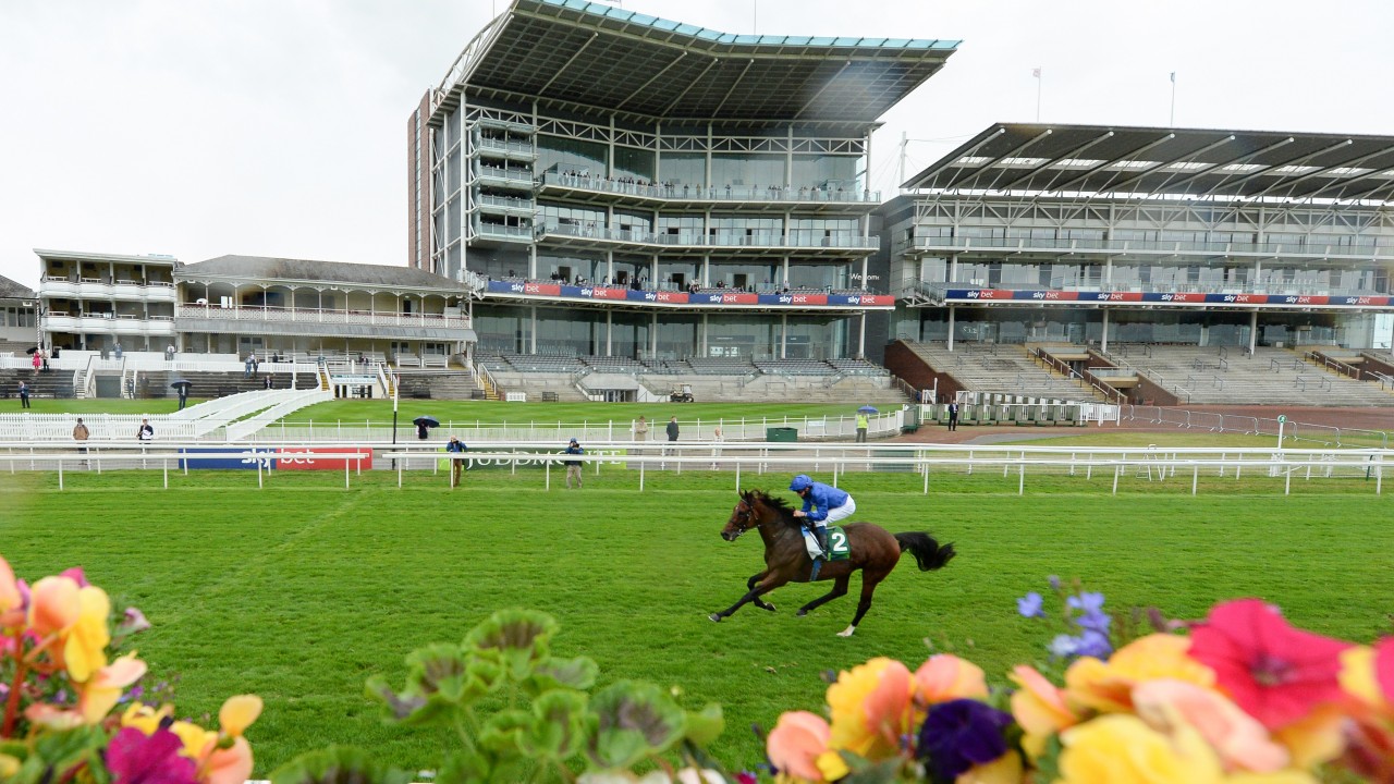 2021 Juddmonte International At York The Runners The Odds The Verdict Horse Racing News Racing Post