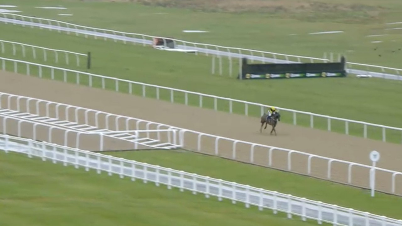 'Lairy soandso' The Steward pulls off breathtaking alltheway