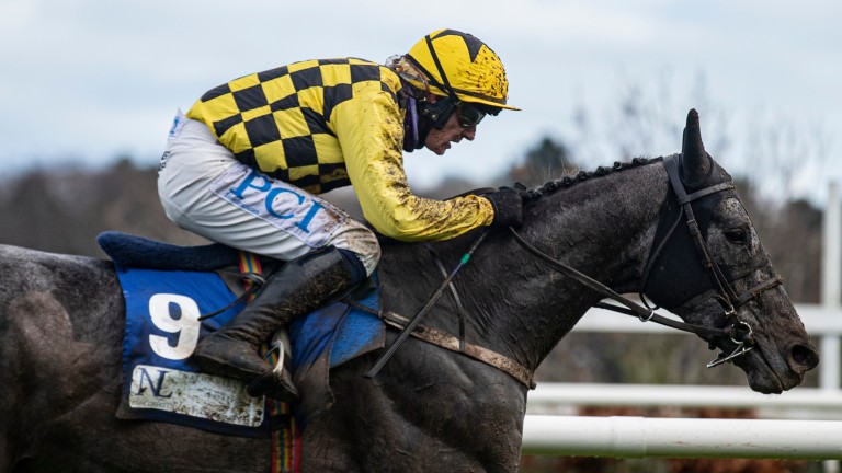 Gaillard Du Mesnil: Grade 1 winner at the Dublin Racing Festival