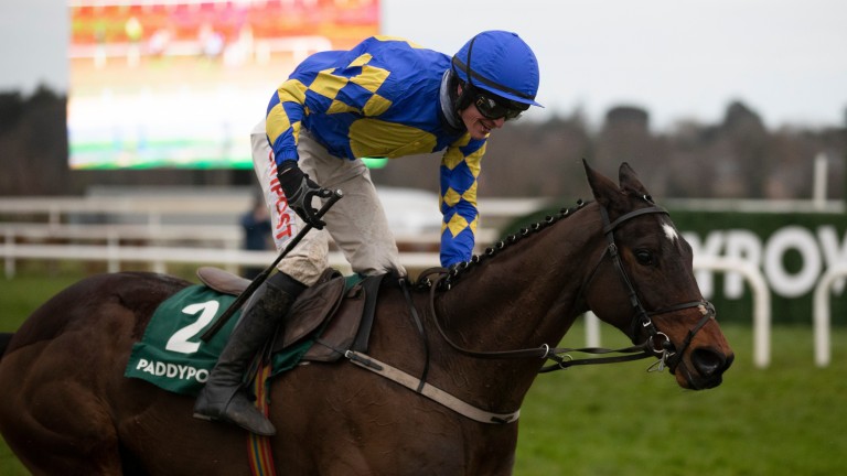 paddy power irish gold cup