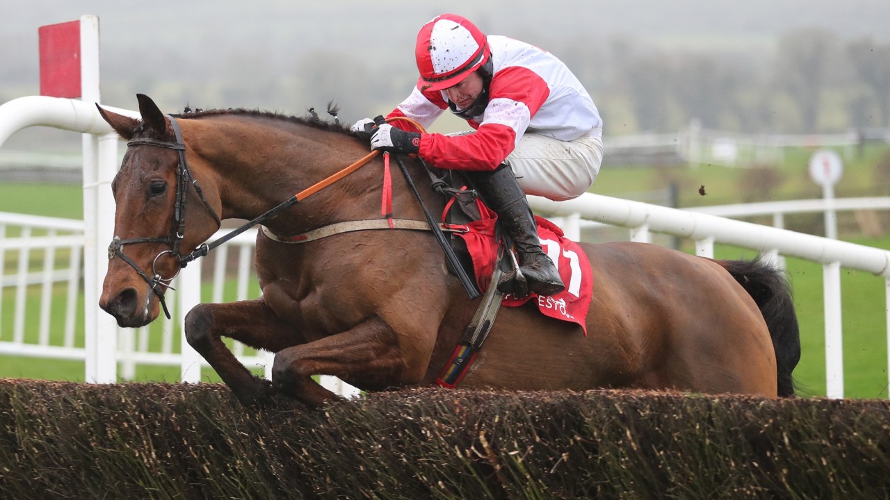 Next major horse racing event Next major horse racing event