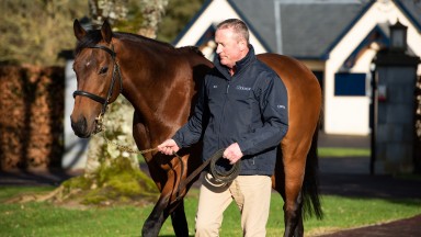 Noel Stapleton and the latest son of Galileo to join the Coolmore roster, Circus Maximus