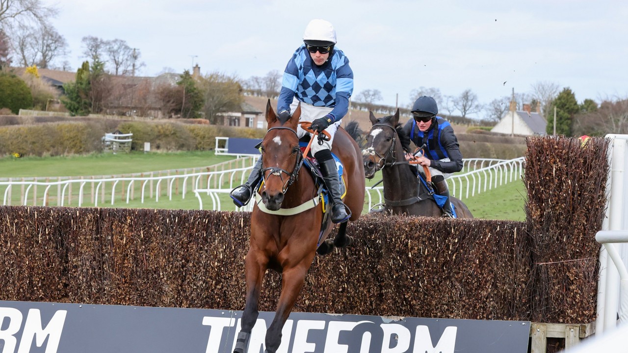 He S A Bit Of A Freak Davidson Harbouring Hopes Of Highland National Victory Horse Racing News Racing Post