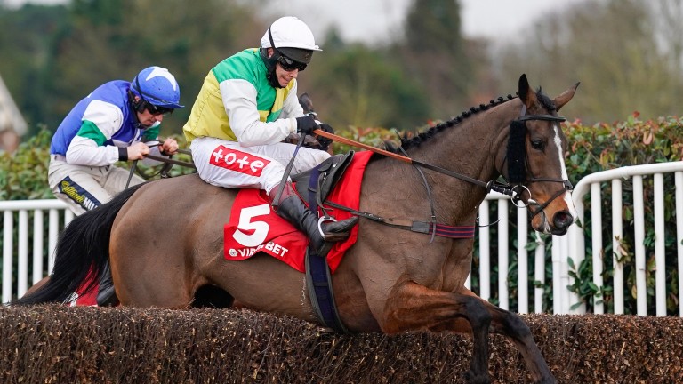 Deise Aba: has the caught the eye of one of our tipster for the Kim Muir