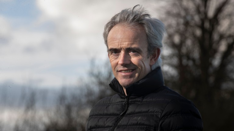 ITV Racing pundit Ruby Walsh: "My Drogo had done everything perfectly until he fell"