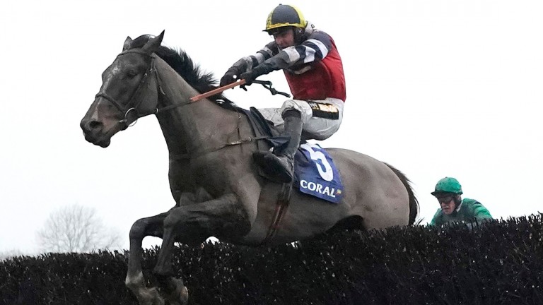 Potters Corner: Tudor was on board for his Grand National win