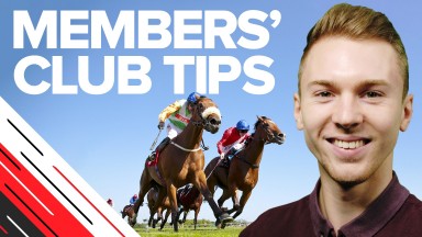 Horse Racing Tips Expert Tips Racing Post