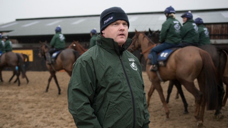 Gordon Elliott: unable to saddle runners in Britain while the investigation is ongoing