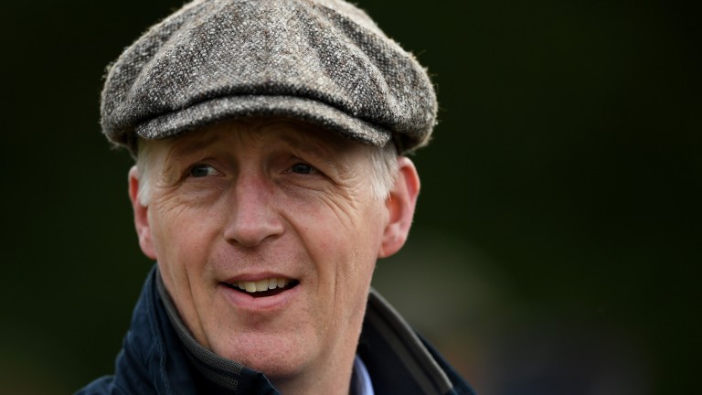 David Pipe: looking to add to his 15 Cheltenham Festival winners next week