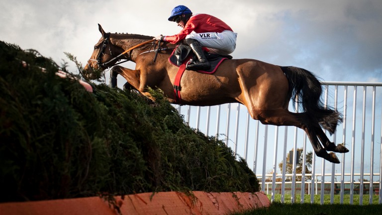 Envoi Allen: unbeaten in his three previous starts at Down Royal