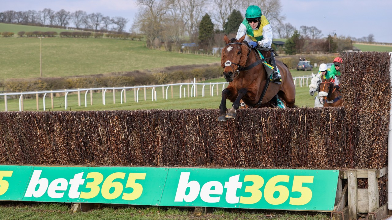Is Cloth Cap the next Grand National winner? Our reporters have their