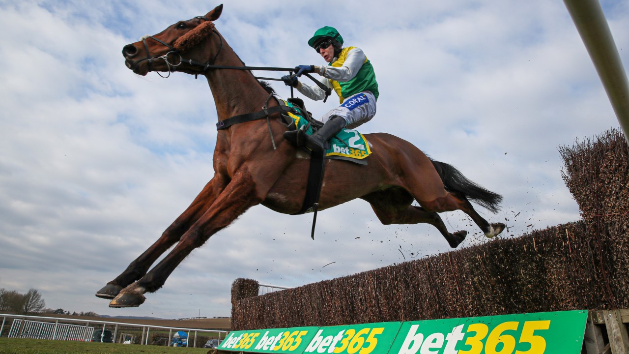Odds of 41 for Cloth Cap in Grand National more than fair