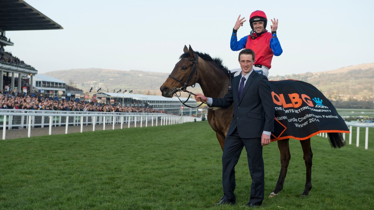 The Facile Vega profile 'real deal' bumper star entered for hurdling