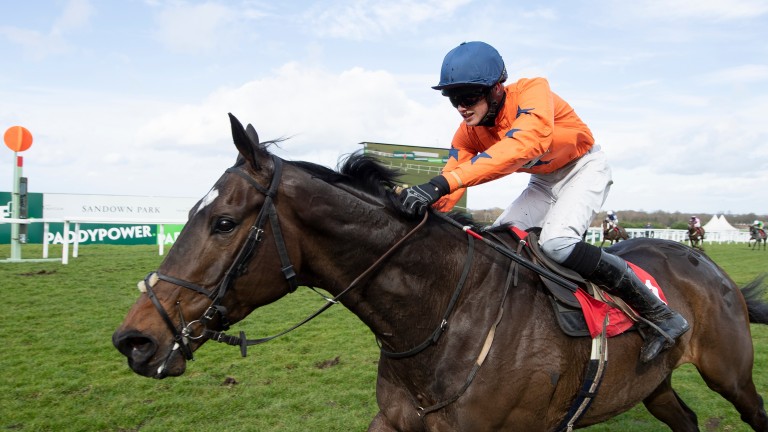 Gambledon Grey Diamond sparkles for Sam Thomas in Grand