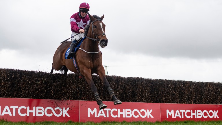 Limerick: the track has no plans to limit numbers over Christmas