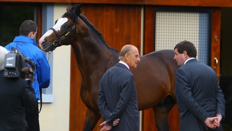 Jeremy, pictured being paraded in front of the Duke of Edinburgh at the Irish National Stud, sired a Grade 1 double at Cheltenham on Tuesday