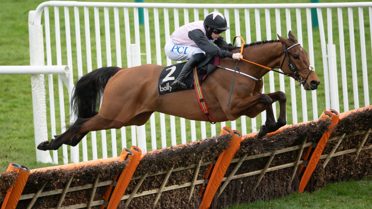 champion hurdle 2022 betting advice champion hurdle 2022 betting advice