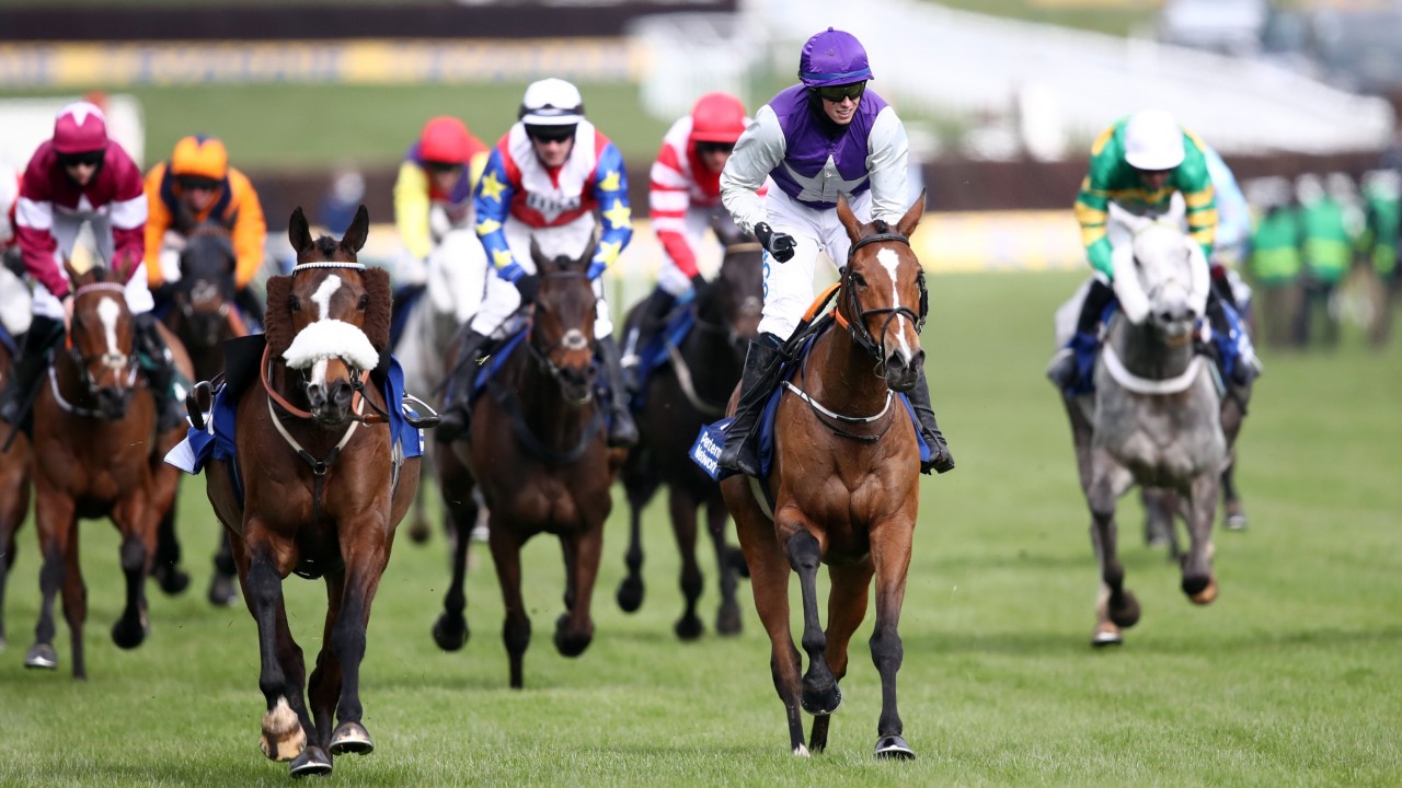 Pertemps winner Mrs Milner out of the Champion Stayers Hurdle Horse Racing News Racing Post