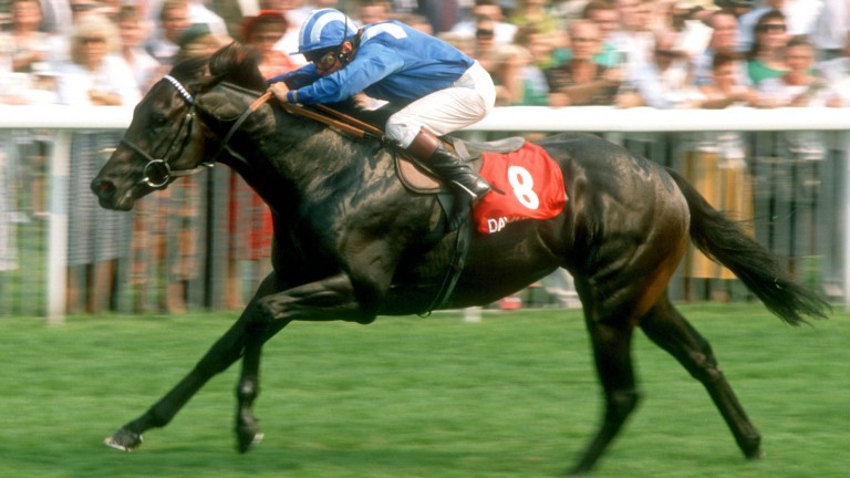 Dayjur at full stretch as he wins the Nunthorpe Stakes under Willie Carson at York in August 1990