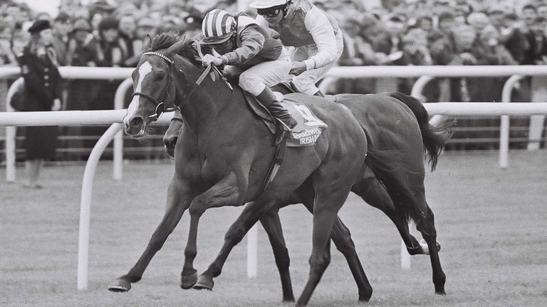 Salsabil and Willie Carson claim the Irish Derby at the Curragh in 1990