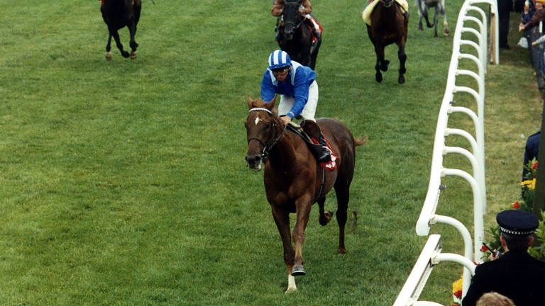 Nashwan and Willie Carson stride away from their rivals to win the Derby at Epsom in 1989