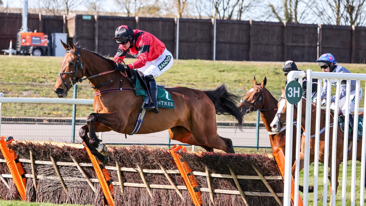 Brown Advisory Looks ‘Most Logical’ Target For The Real Whacker Andrew Thornton: Ahoy Senor can bounce back and progress through ranks | Horse Racing News | Racing Post