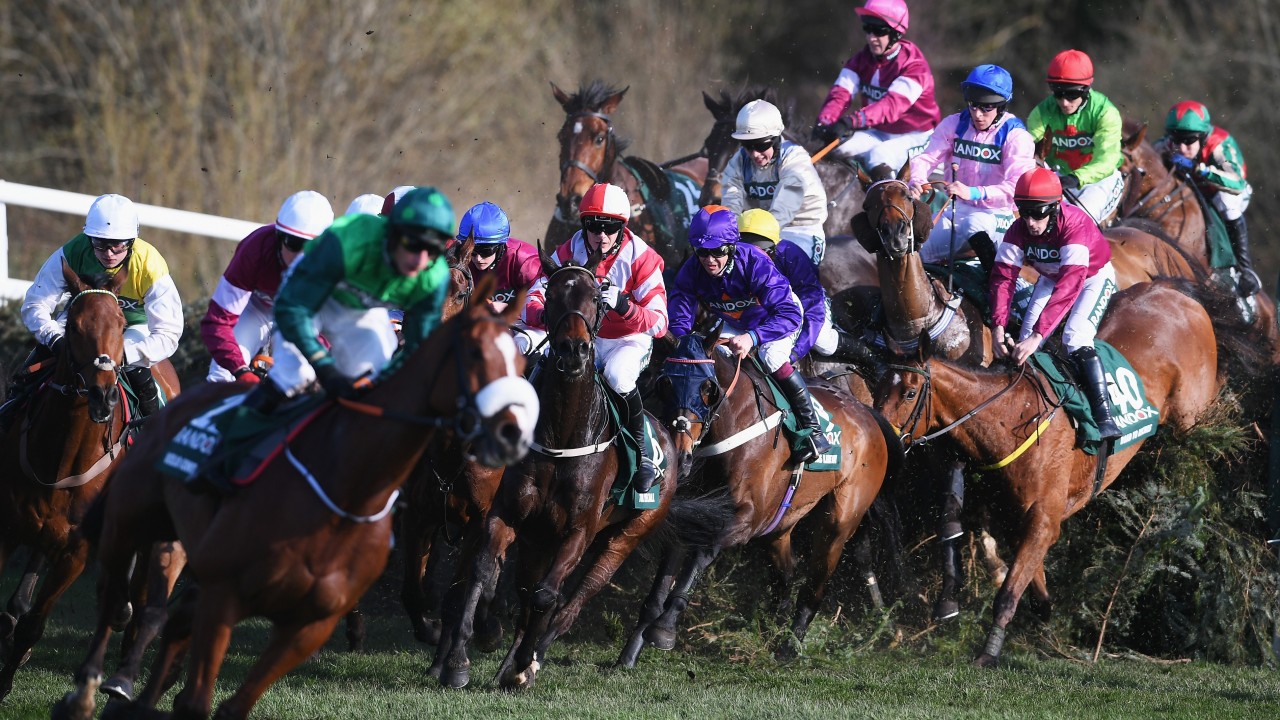 Horse racing grand national betting crypto short sales
