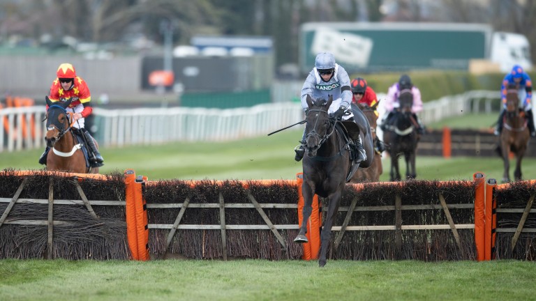My Drogo: made a huge impression over hurdles and now switches to novice chasing