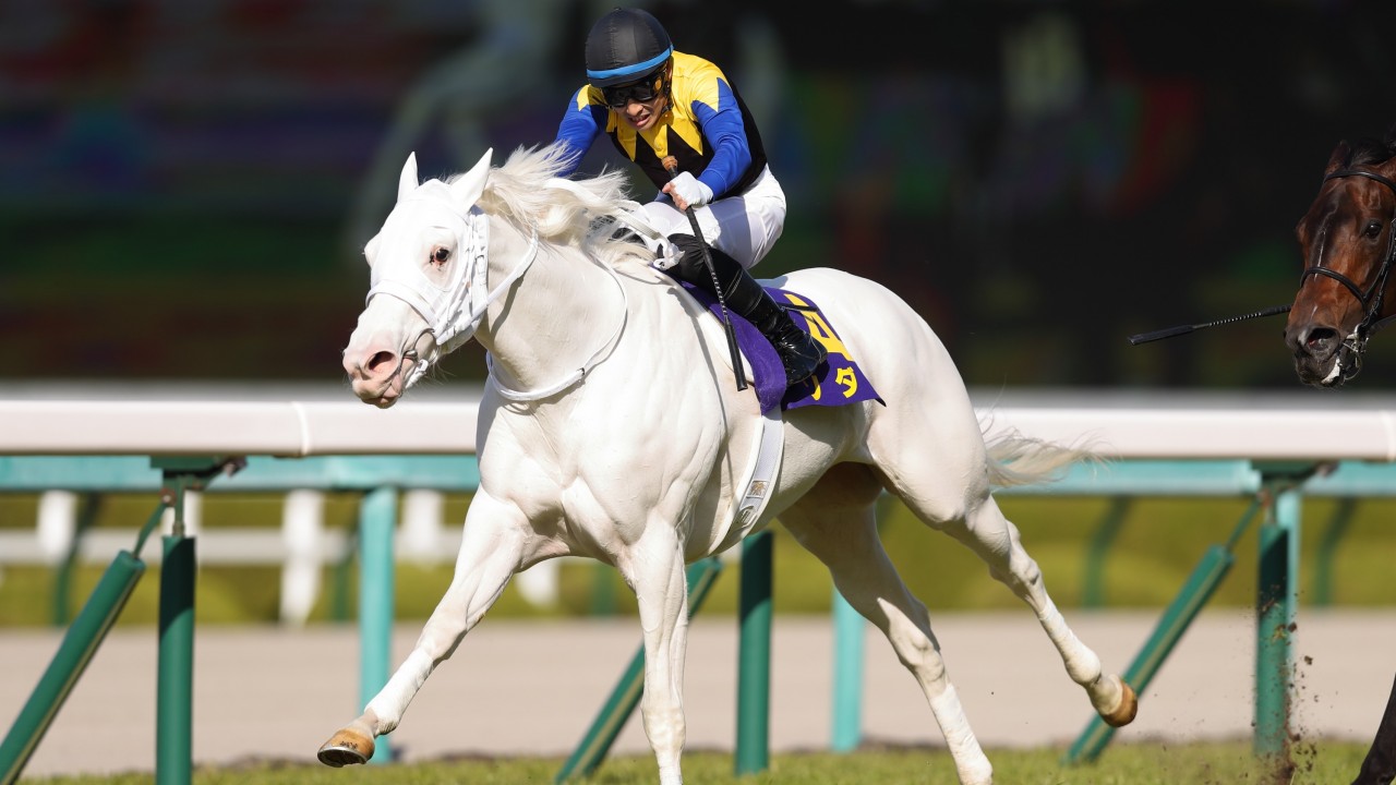 Winner allwhite! Sodashi makes more history in Japanese Guineas
