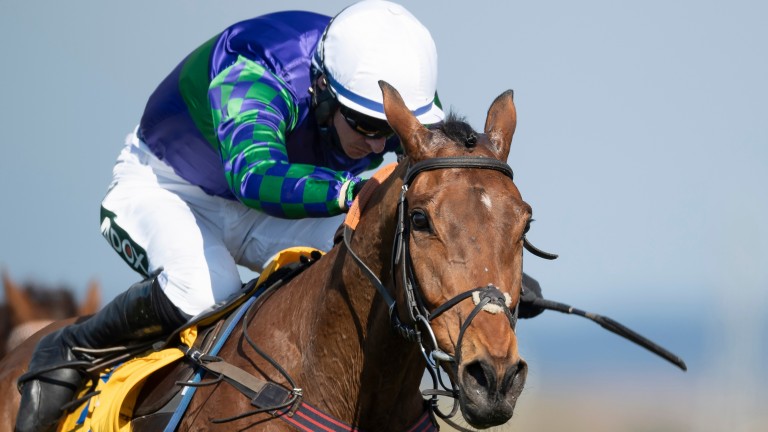 Thyme Hill: could be one of a number of jumps stars in action at Chepstow
