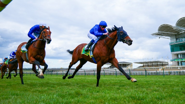 Master Of The Seas (right) could make his first start since his second of 2,000 Guineas in the Joel Stakes on Friday