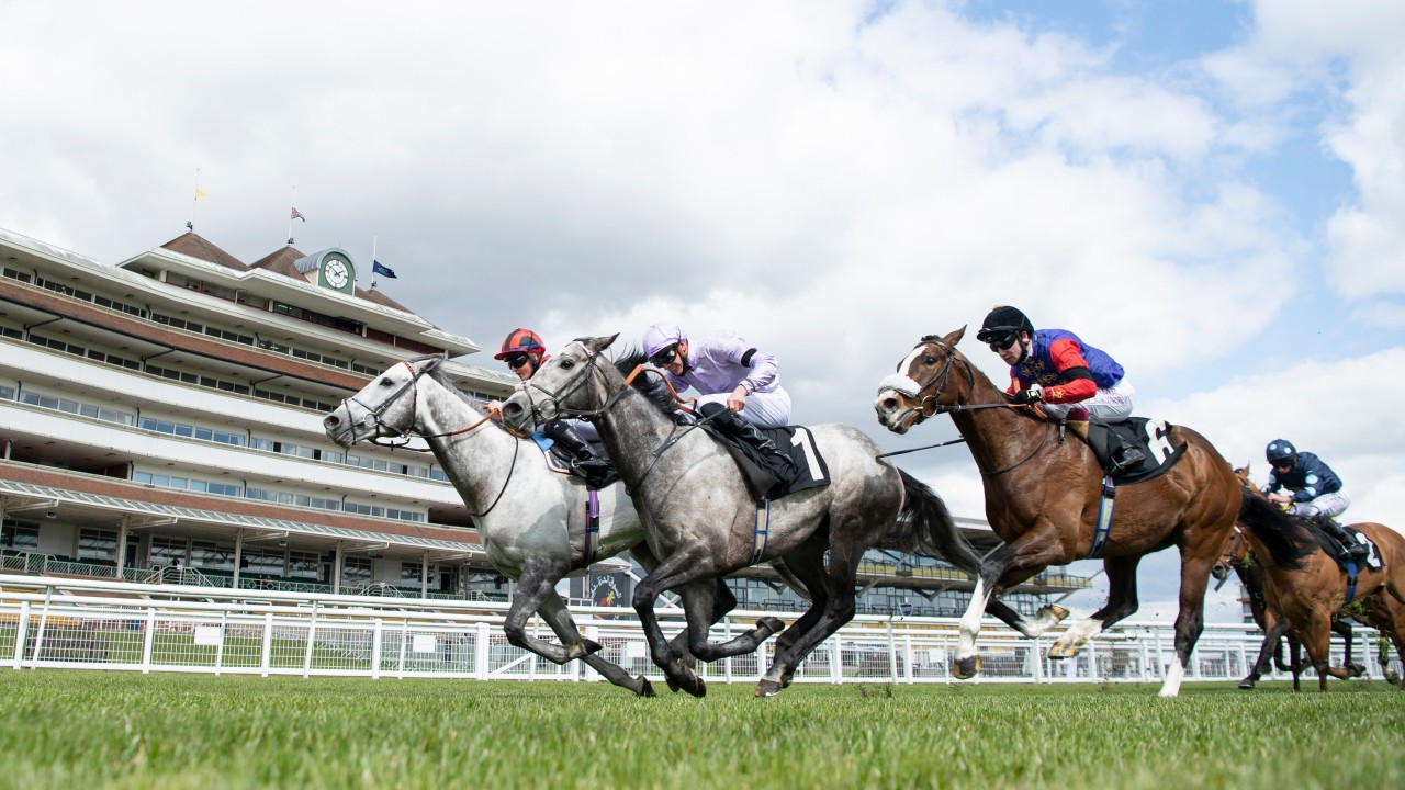 Came From The Dark In The Form Of His Life But Stats Are All Against Him Horse Racing News Racing Post